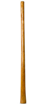 Gloss Finish Didgeridoo (TW823)